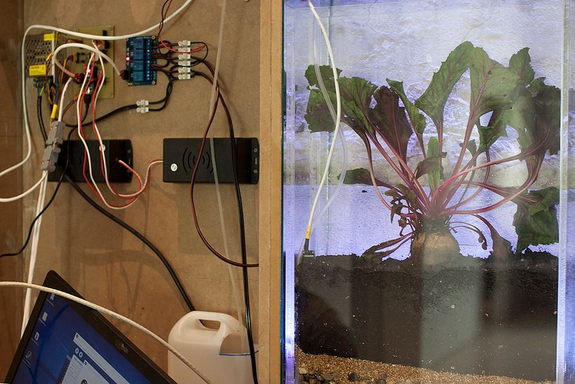 La Remolacha HackLab 6