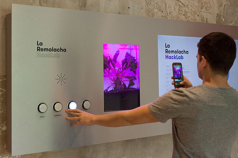 La Remolacha HackLab 7