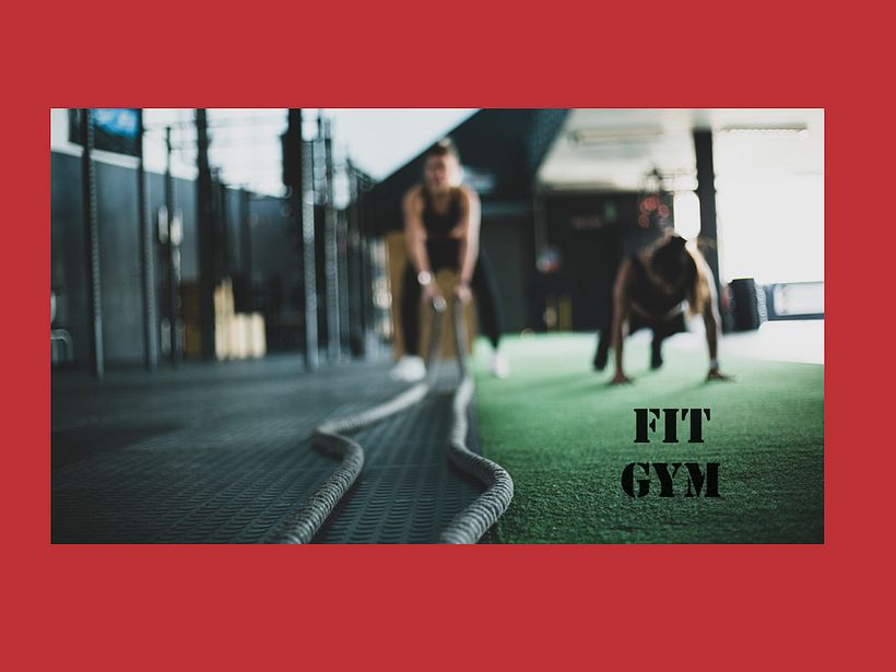 Mi Proyecto del curso: Desarrollo de un plan de medios digitales 0