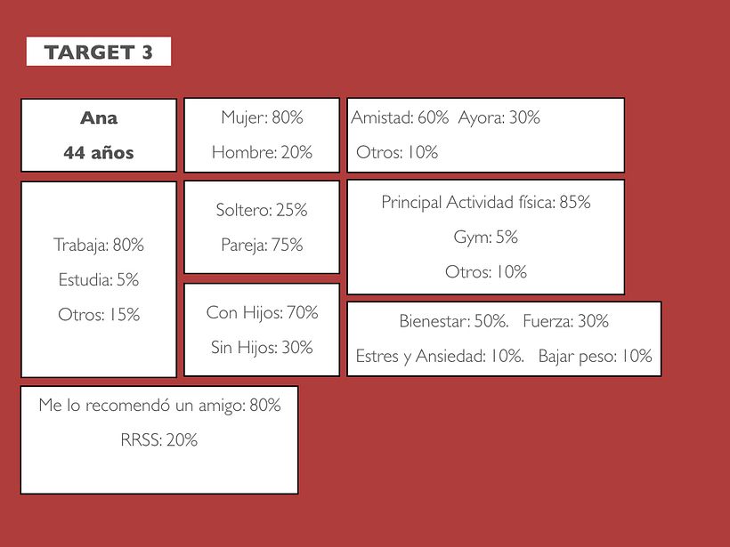 Mi Proyecto del curso: Desarrollo de un plan de medios digitales 5