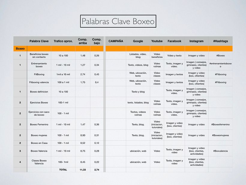 Mi Proyecto del curso: Desarrollo de un plan de medios digitales 12