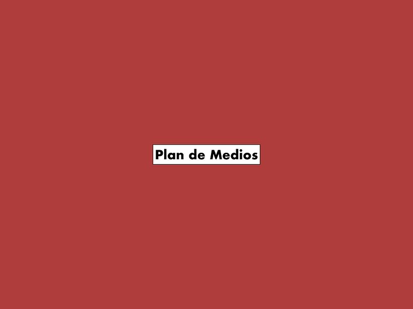 Mi Proyecto del curso: Desarrollo de un plan de medios digitales 15