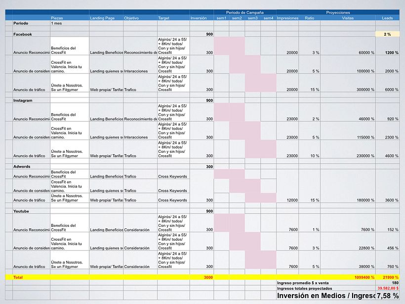 Mi Proyecto del curso: Desarrollo de un plan de medios digitales 16