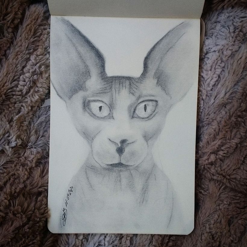 El dibujo del día - Edición COVID19 0