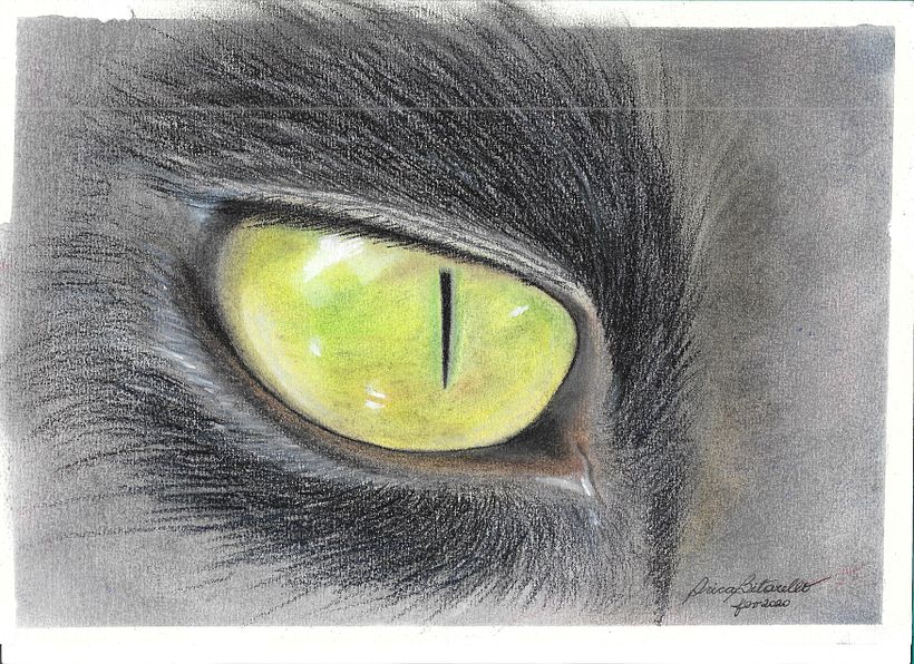 Polychromos sobre Canson creme 200g/m²