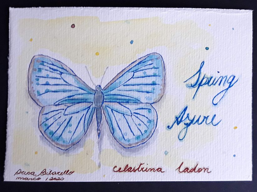 Primeira tentativa com aquarela