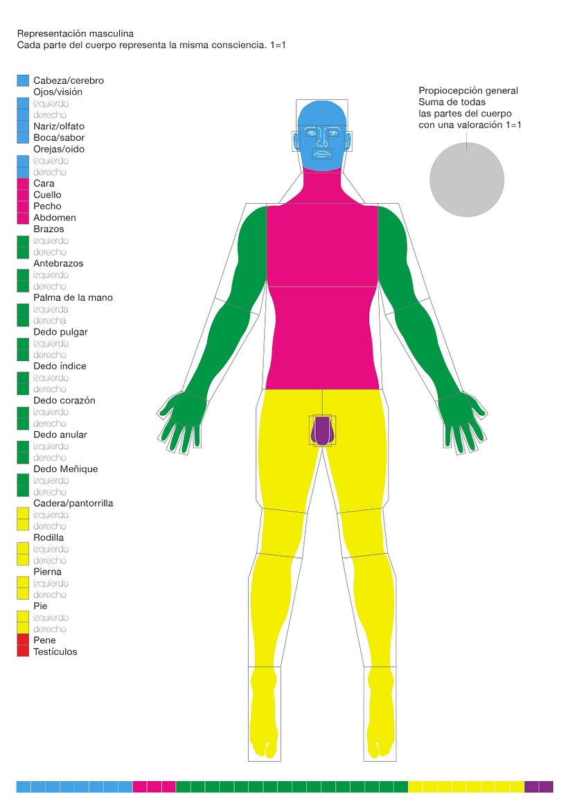 Sobre los homúnculos 11