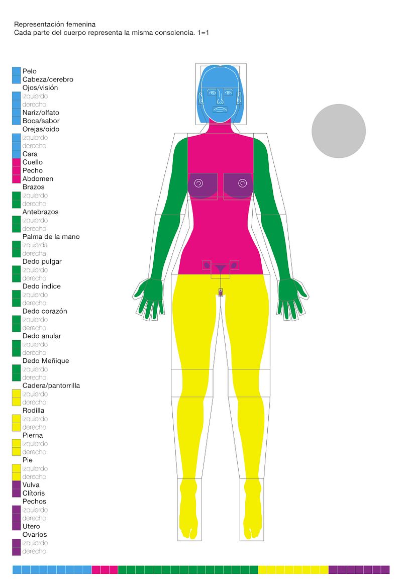 Sobre los homúnculos 17