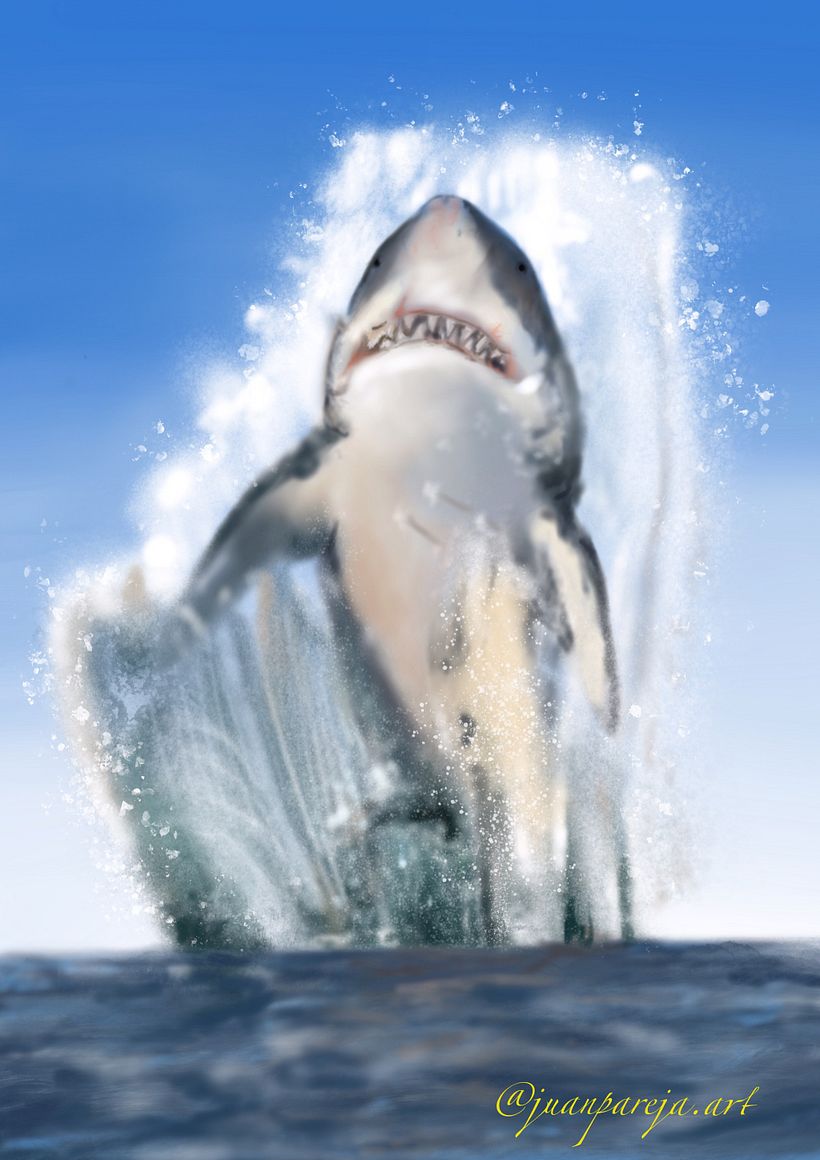 Procreate realismo tiburón  0
