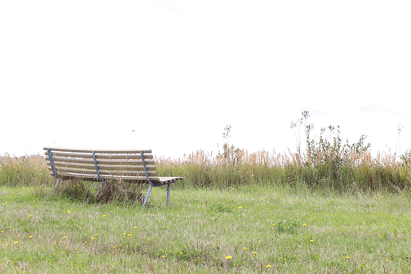 Un día en el parque - Fotografi