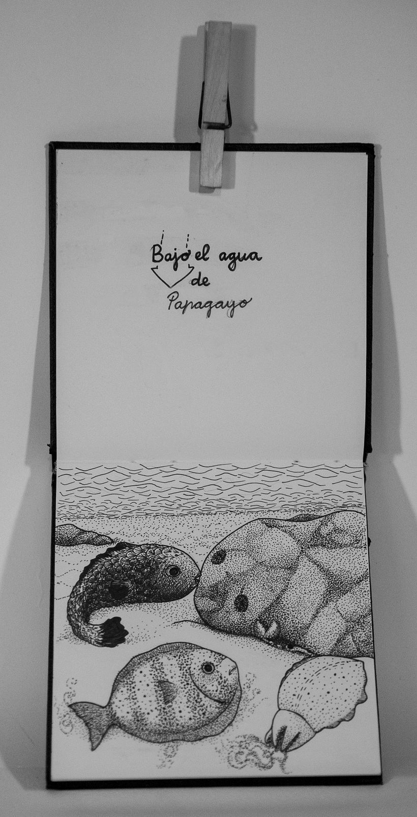 Bajo el agua de Papagayo