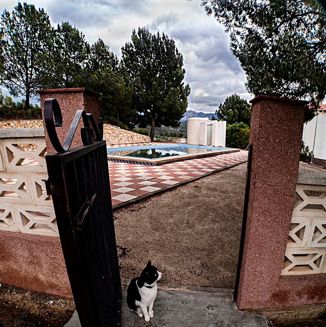 El Can Cerbero es el portero del infierno, en el paraíso es un gato