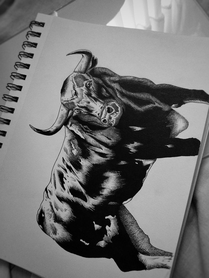 Sketch #1