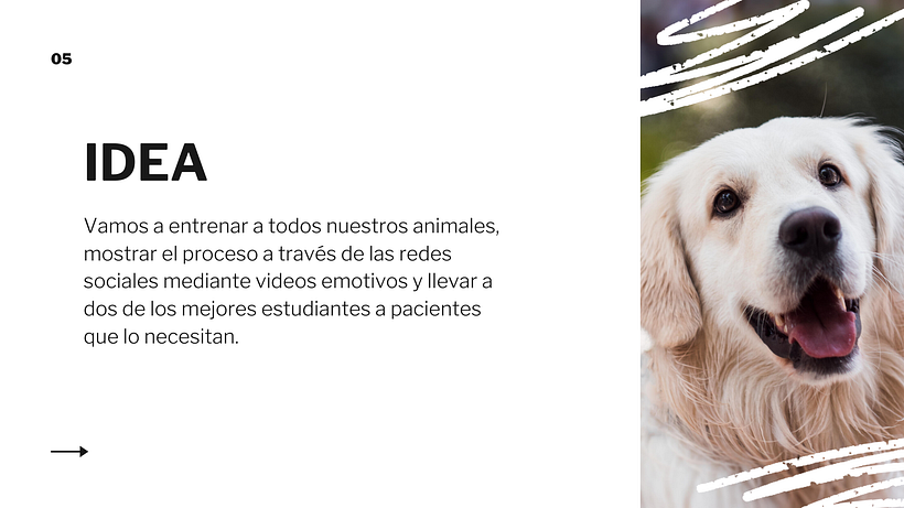 Mi Proyecto del curso: Creatividad publicitaria para todos los públicos 3