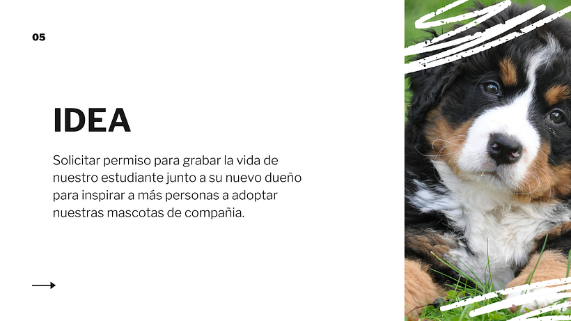Mi Proyecto del curso: Creatividad publicitaria para todos los públicos 2
