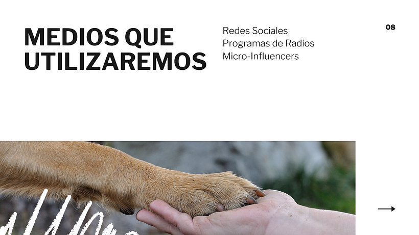Mi Proyecto del curso: Creatividad publicitaria para todos los públicos 1