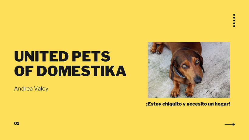 Mi Proyecto del curso: Creatividad publicitaria para todos los públicos 6