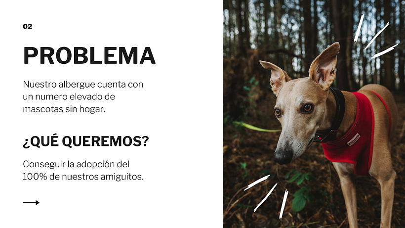 Mi Proyecto del curso: Creatividad publicitaria para todos los públicos 5