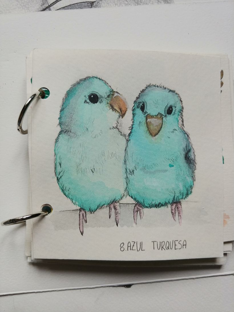 Comparte tu sketchbook con la comunidad 0