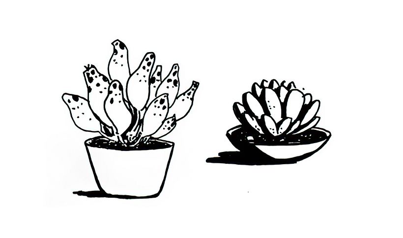 El dibujo del día - Edición COVID19 2