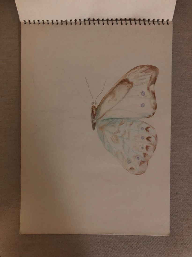 Dibujos no terminados grafito 0
