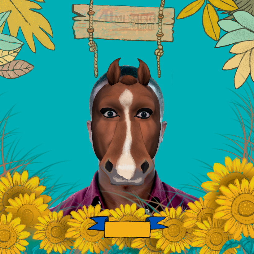 Haikan, mi caballo favorito! 2