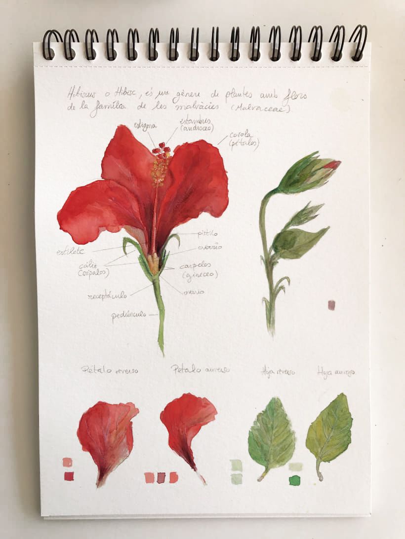 ¡Comparte tu sketchbook con la comunidad! 10