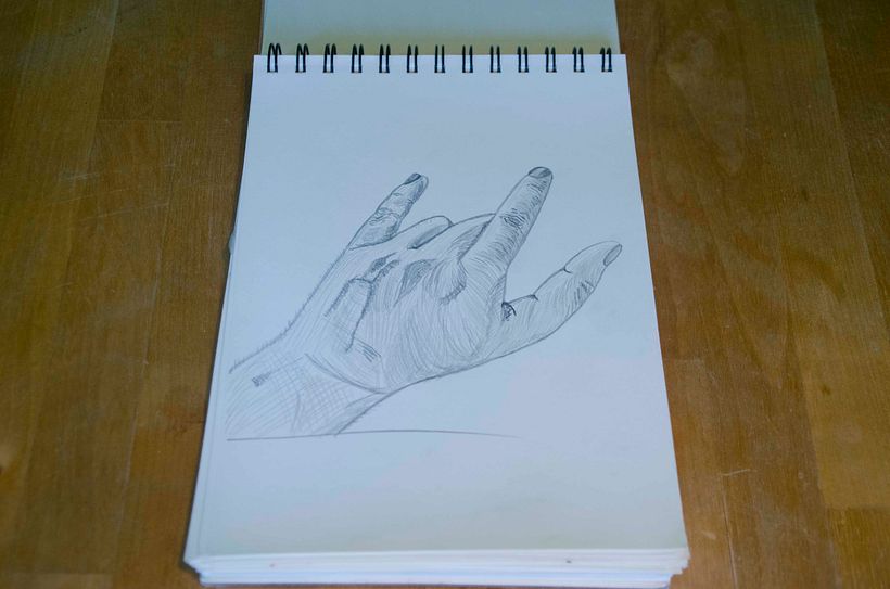Mi Proyecto del curso: Dibujo para principiantes nivel -1 2