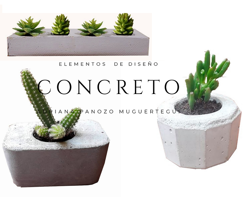 MI PROYECTO DEL CURSO 1