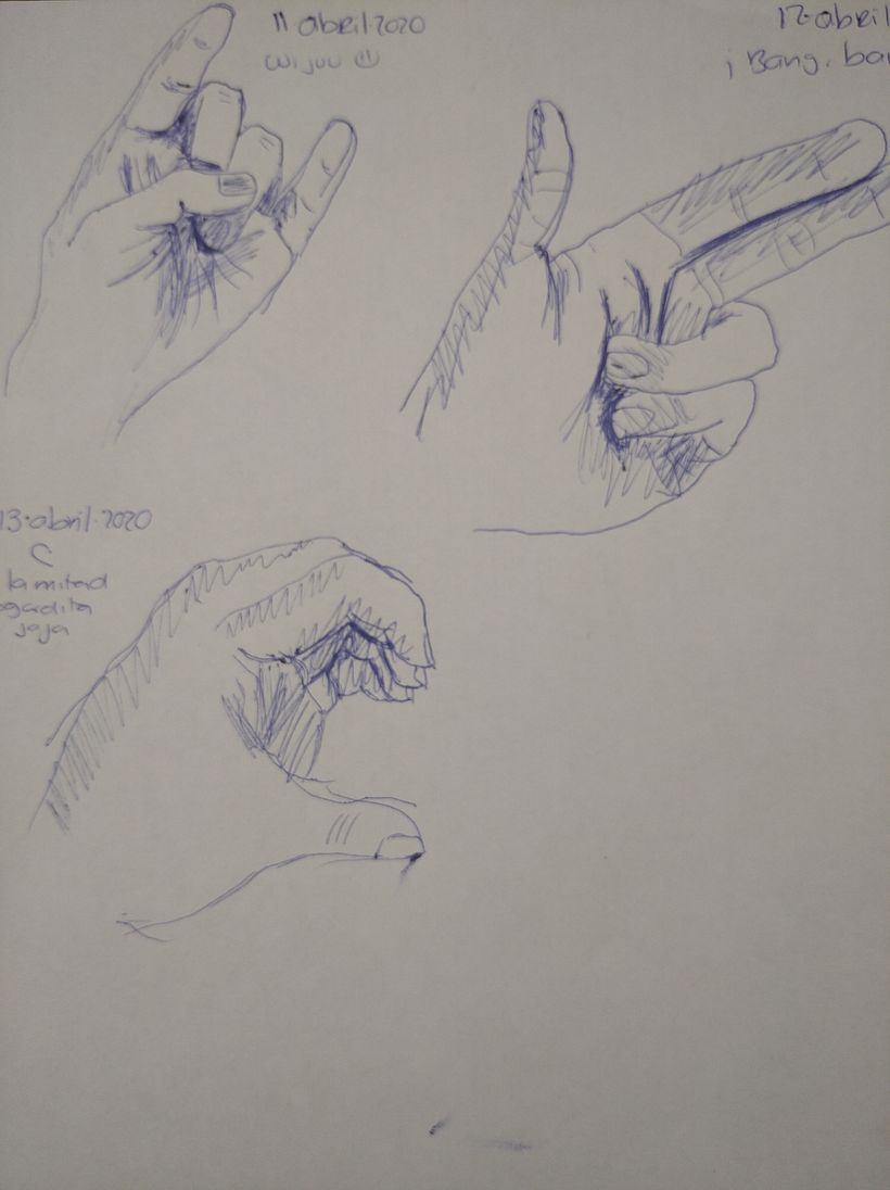 Mi Proyecto del curso: Dibujo para principiantes nivel -1  4