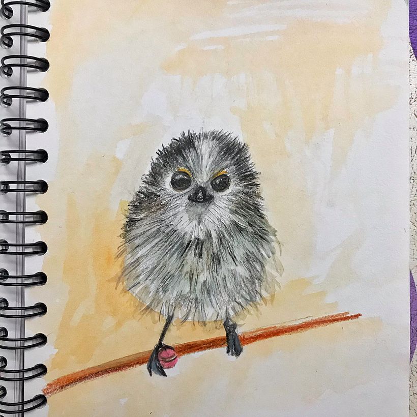 Comparte tu sketchbook con la comunidad 0