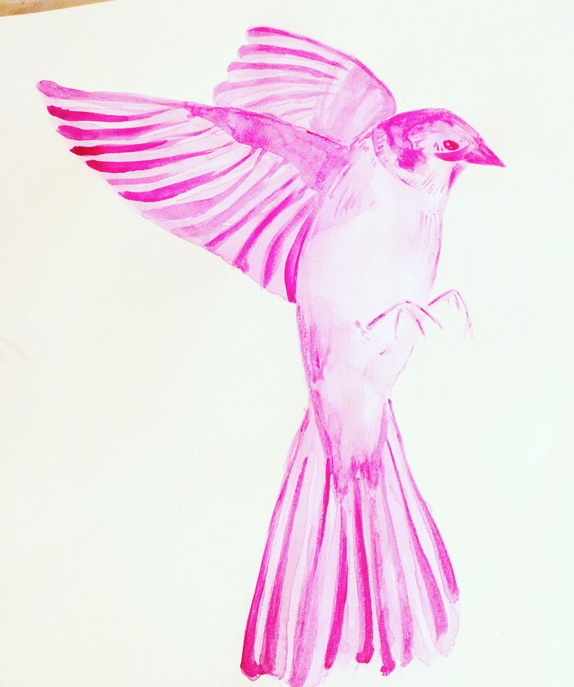Monocromatic bird