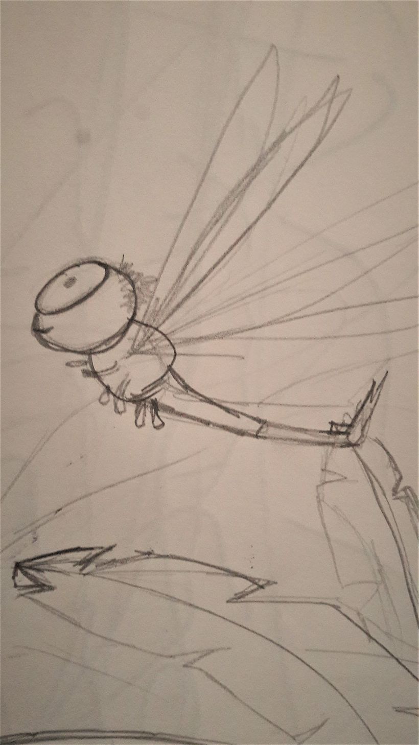 Lily the dragonfly and Ally the Alligator 5