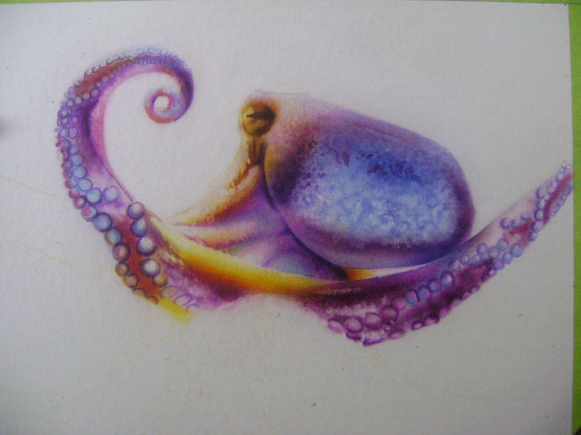 pulpo con colores y aerografo vista detallada
