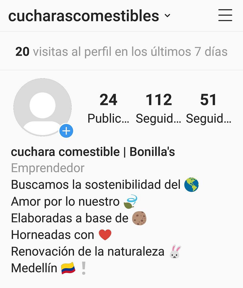 Estrategia de marca en Instagram 0