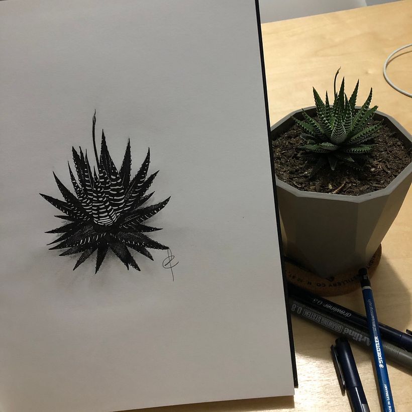 @jonas.mejiam en instagram @jonamejia en domestika