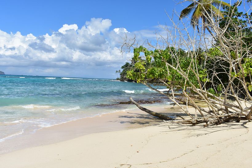 Mi Proyecto del curso: Playas Escondidas, Las Galeras, R. D. 7