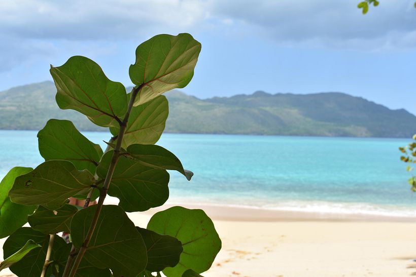 Mi Proyecto del curso: Playas Escondidas, Las Galeras, R. D. 9