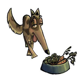 Perros a dieta  2