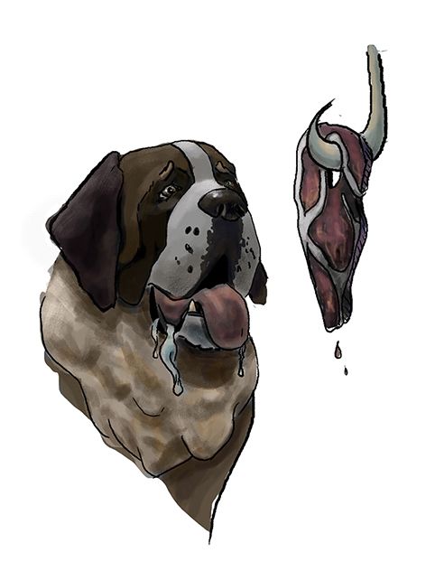 Perros a dieta  4