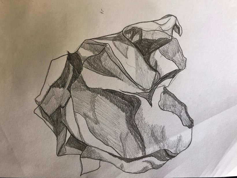 Mi Proyecto del curso: De principiante a superdibujante 5