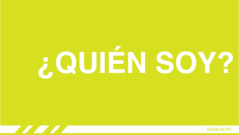 Mi Proyecto del curso: Storytelling aplicado a marcas 0