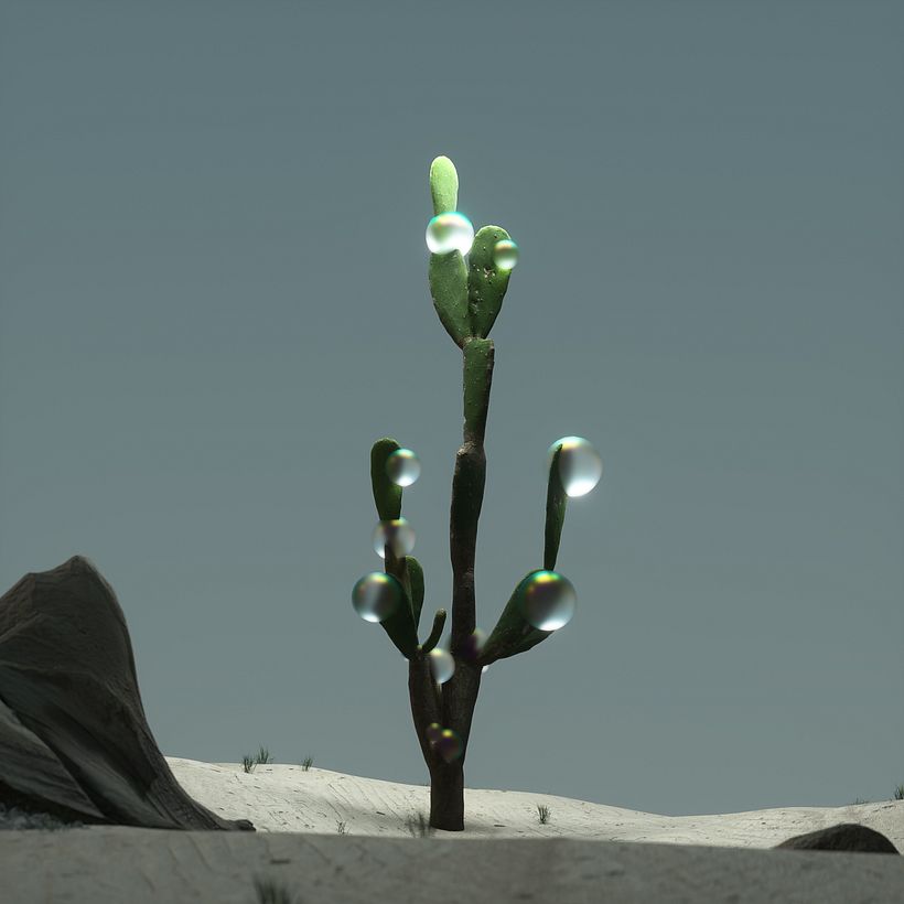DESERT -1