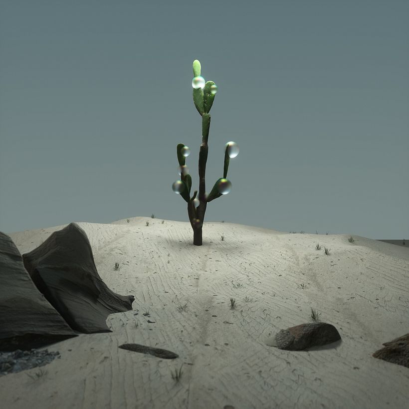 DESERT 0