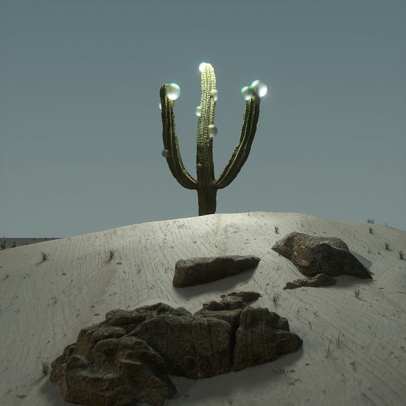 DESERT 1