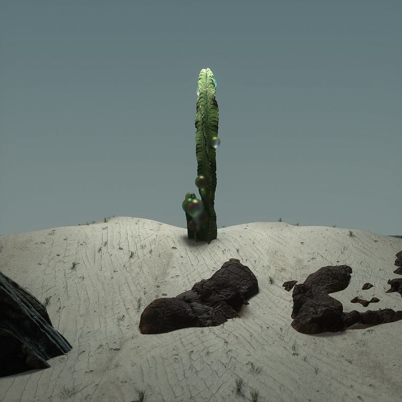 DESERT 3