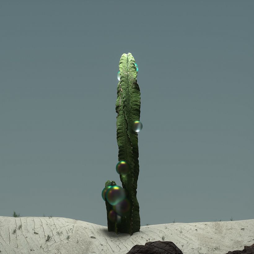 DESERT 4
