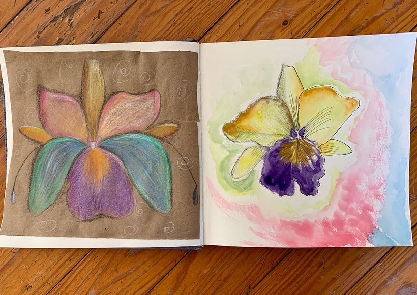 Comparte tu sketchbook con la comunidad 0