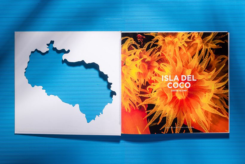 Isla del Coco 18