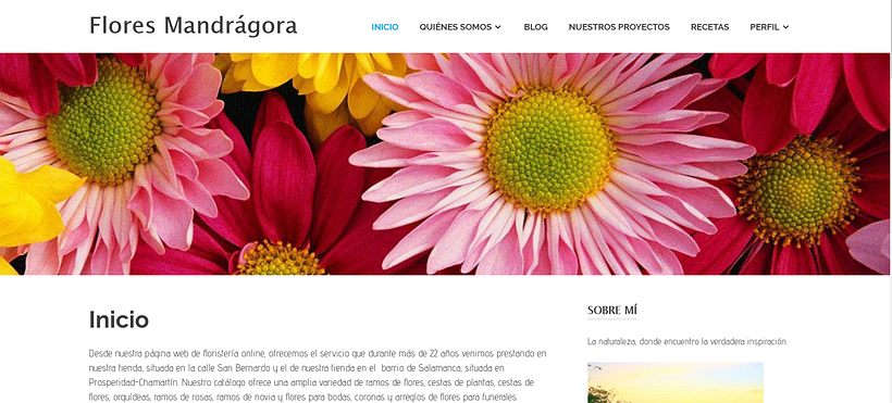 Mi Proyecto del curso: Creación de una web profesional con WordPress 0